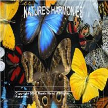 CD - Natures Harmonies Image